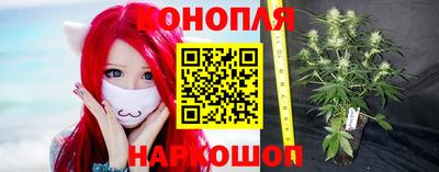 гидра Заводоуковск