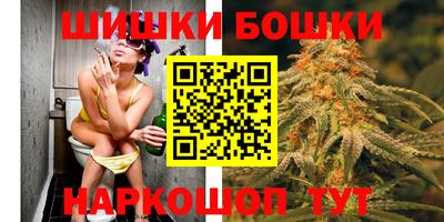 гидра Заводоуковск