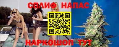 гидра Заводоуковск