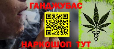 гидра Заводоуковск