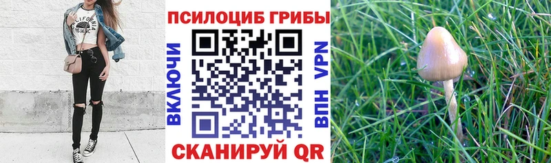 Псилоцибиновые грибы ЛСД  наркота  ссылка на мегу tor  Нерюнгри 