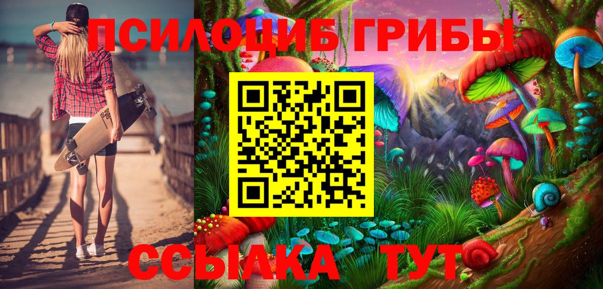 Псилоцибиновые грибы Psilocybe  Галлюциногенные грибы мицелий  Нерюнгри  Вход с VPN 