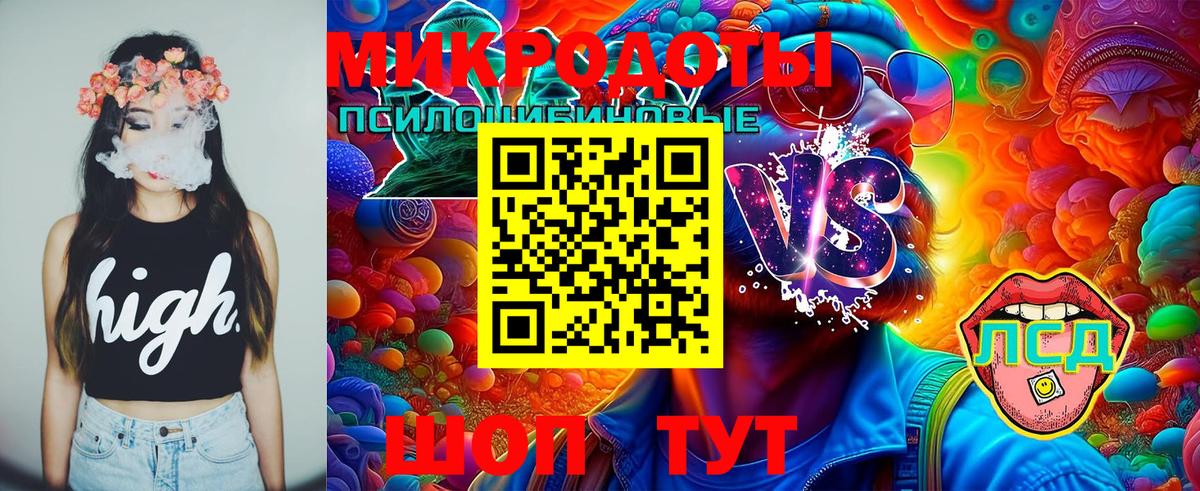 Галлюциногенные грибы Cubensis  Нерюнгри  где купить наркотик  Галлюциногенные грибы Magic Shrooms 